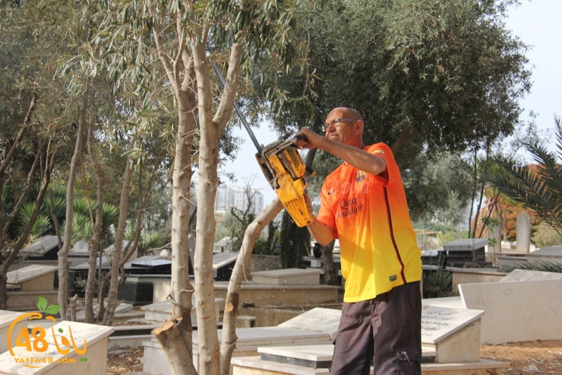 tasoooi3i1412 (25).JPG